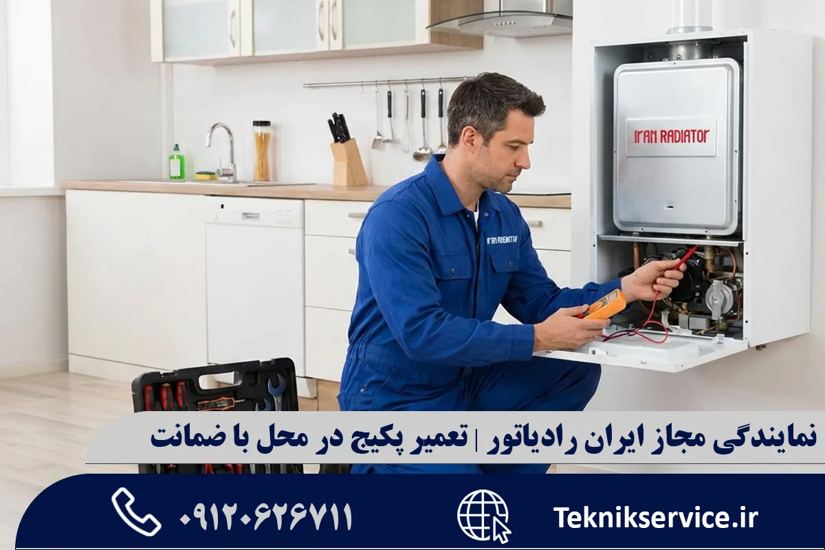 راهنمای عیبیابی اولیه برای کاربران (پیش از تماس با تعمیرکار)